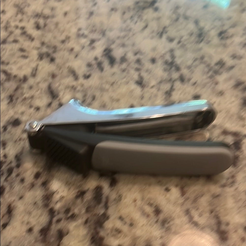 Stainless Steel Garlic Press